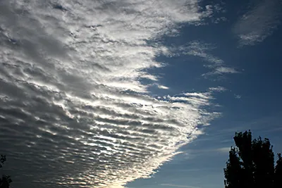 Altocumulus