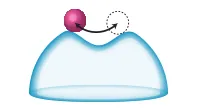 3. When the force is removed the ball will oscillate.