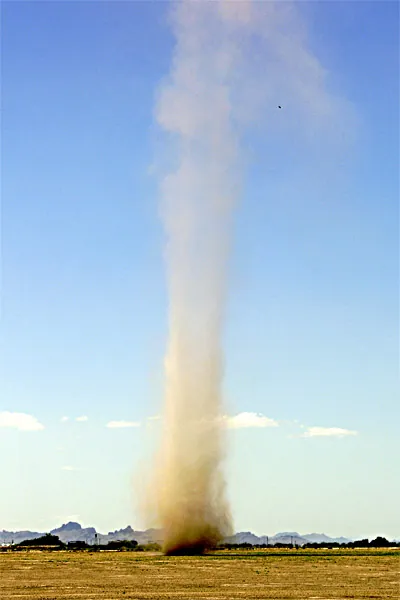 Well-Developed Dust/Sand Whirls