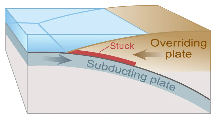 One of the many tectonic plates that make up Earth's outer shell descends, or "subducts," under an adjacent plate.
