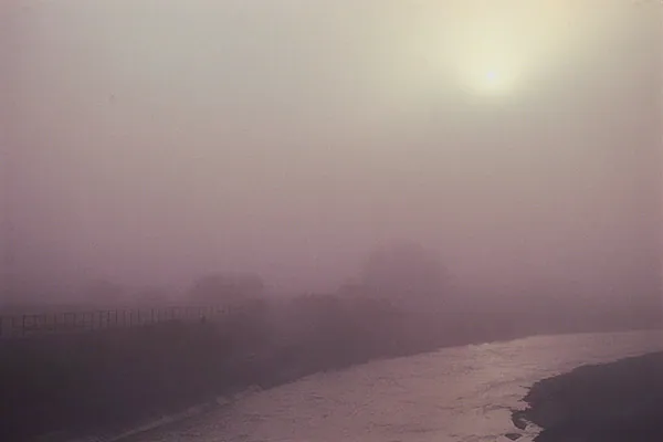 Fog