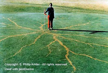 Lightning struck and traveled down