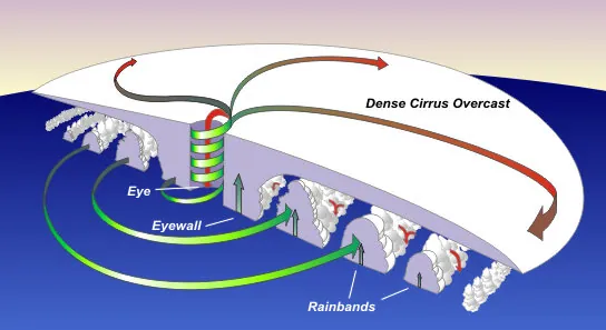 Cross section of a typical hurricane.