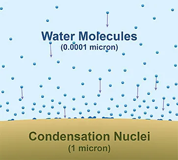 The relative size of water molecules (0.0001 micron) to condensation nuclei (1 micron).