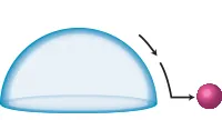 4. The ball will continue to move.