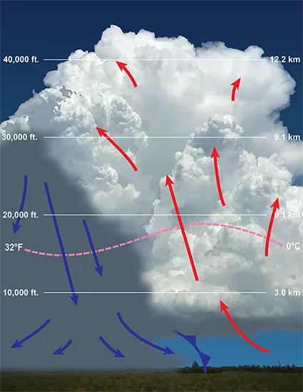 An illustration of mature Cumulonimbus.