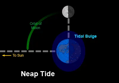 Neap tide