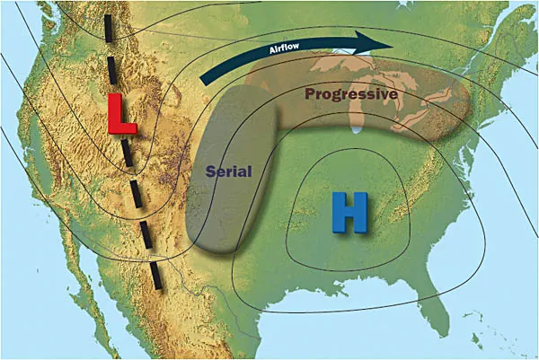 Serial derechos