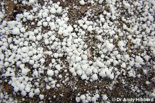 small hail
