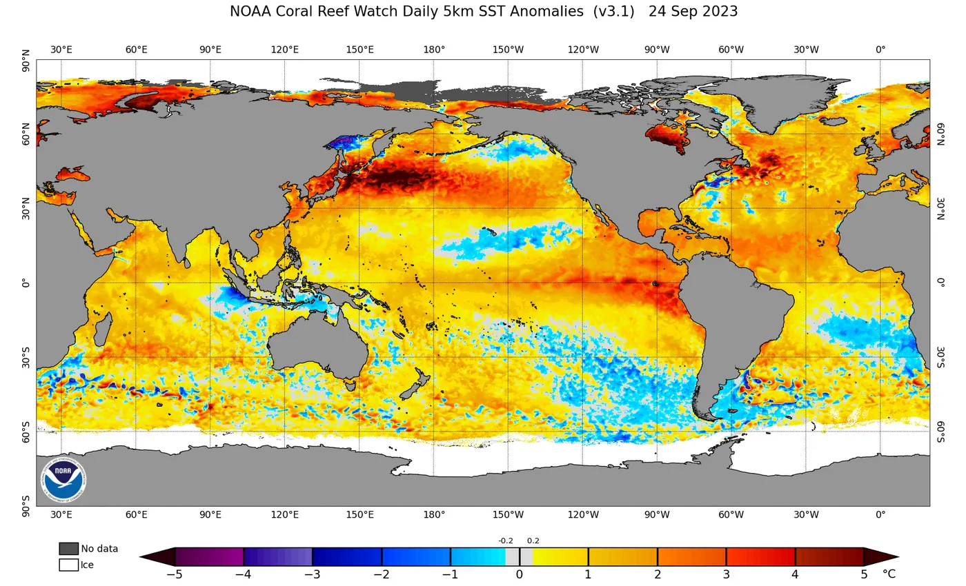 Operational 5km SST Anomaly Charts