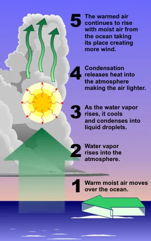 What happens with a water temperature of at least 80°F (27°C).
